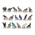 Complete set of 18 feves Atlas - Les oiseaux couronnés