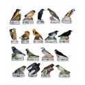 Série complète de 18 fèves Atlas - Oiseaux des jardins