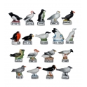 Série complète de 18 fèves Atlas - Oiseaux marins