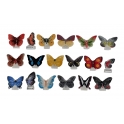 Complete set of 18 feves Atlas - Papillons du monde