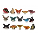 Série complète de 15 fèves Atlas - Papillons géants